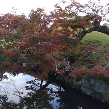 11月末は紅葉が美しい