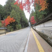 徳川家霊台を過ぎてからこの坂を登ります