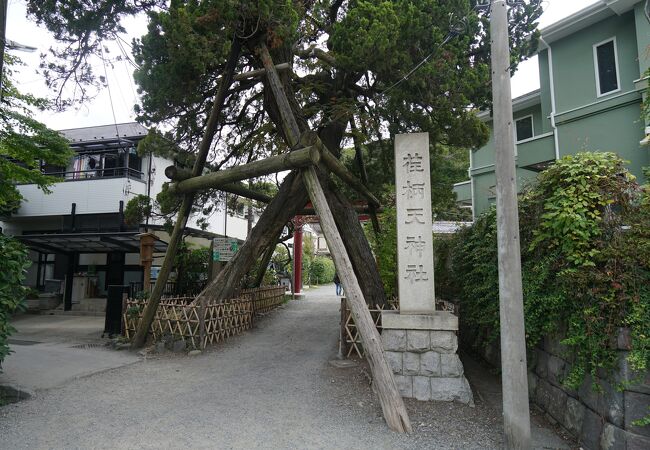 荏柄天神社 クチコミ アクセス 営業時間 鎌倉 フォートラベル 荏柄天神社 クチコミ アクセス 営業時間 鎌倉 フォートラベル