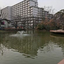 平和の森公園