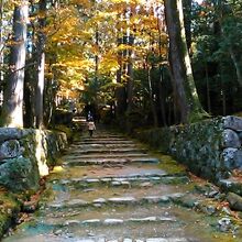 階段が本堂へ