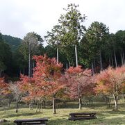 奥湯河原もみじの郷