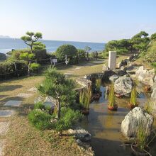 入園直後の庭園の様子