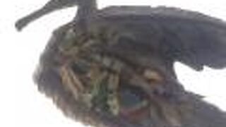 海洋科技博物館