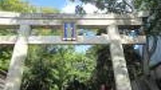 日光に比べて極小規模だが、漆塗や極彩色の精巧な彫刻は同等かと