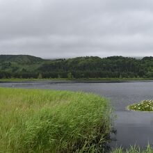 湿地帯っぽい空間も。