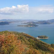 見晴らしが最高