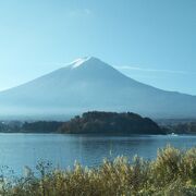 富士五湖の中で唯一の湖中の島