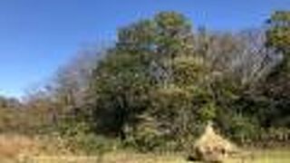 里山テーマパークです