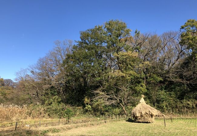 里山テーマパークです