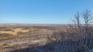 夏に来た方が良いかも…
