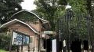 小学生のお子さんはポニーに乗れる