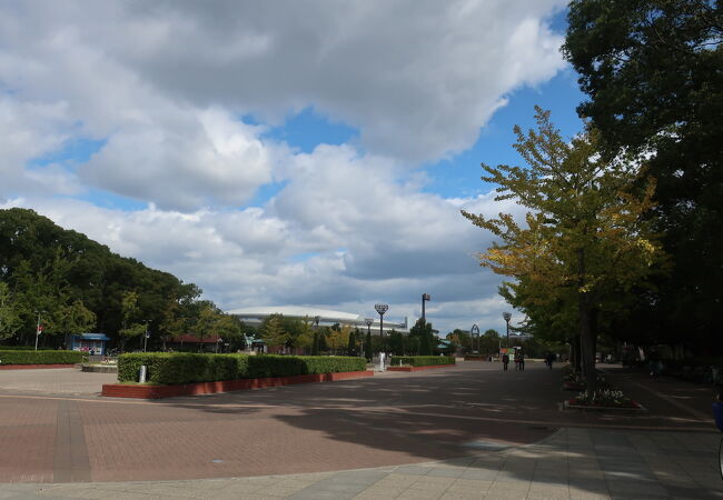 長居公園 クチコミ アクセス 営業時間 住吉 平野 フォートラベル 長居公園 クチコミ アクセス 営業時間 住吉 平野 フォートラベル