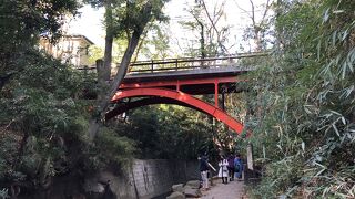 都内唯一の渓谷、世田谷区の街中に緑豊かな渓谷があることに驚かされる