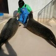 偽りなしの水族館