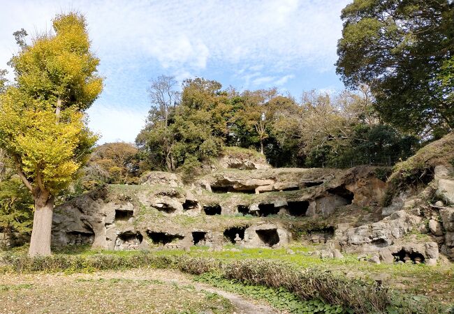 鎌倉周辺の最大級のやぐら群が秋の限定公開中です
