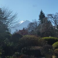 庭園から富士