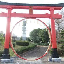 頂上には伊勢朝日山本宮の朱の鳥居と茅の輪