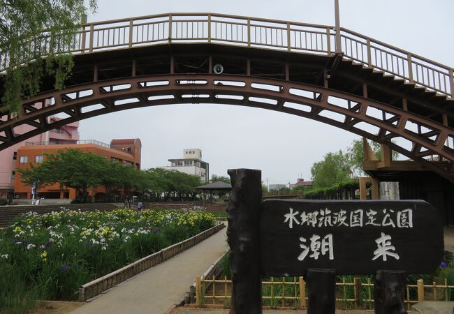 水郷潮来あやめ園 クチコミ アクセス 営業時間 潮来 フォートラベル 水郷潮来あやめ園 クチコミ アクセス 営業時間 潮来 フォートラベル