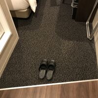 客室扉を開けると