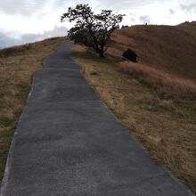 火口の周りの道