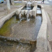 せせらぎ公園の水場です。この水が、並木遊歩道へ流れているかも