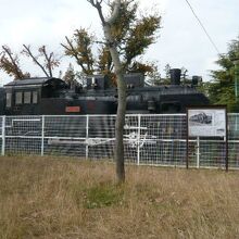 交通公園内の東側には、蒸気機関車の実物が置かれています。