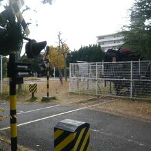 機関車の前には、踏切があり、一旦停止等のルールを学ぶ場所です