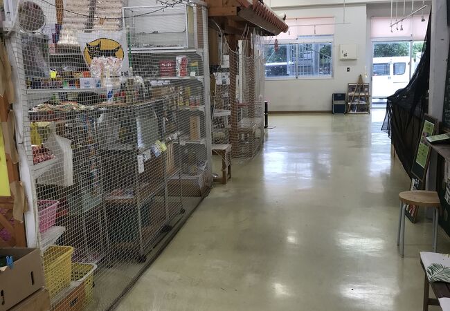 宮古島公設市場 クチコミ アクセス 営業時間 宮古島 フォートラベル 宮古島公設市場 クチコミ アクセス 営業時間 宮古島 フォートラベル