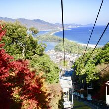 青い海ともみじ