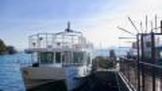 鳥が沢山やってきた