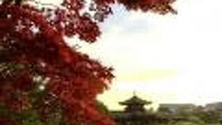 素晴らしい庭園