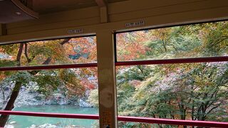 列車の窓から紅葉と山川の景色を楽しめました