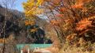 車道の紅葉がきれいでした