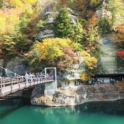 秋、紅葉が美しく見える時間帯は？