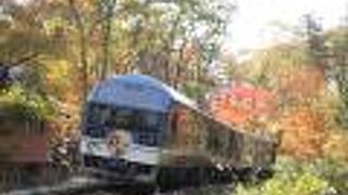 ラッピング車両が楽しい！