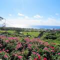 宮古ブルーの美しい海を体感！様々な過ごし方ができる至福の島リゾート♪(*´艸)(艸`*)♪