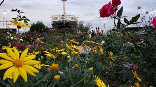 横浜らしい風景とバラが楽しめる公園