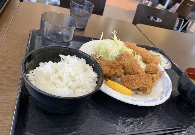 大地食堂 ジョイフル本田千葉ニュータウン店 クチコミ アクセス 営業時間 鎌ヶ谷 印西 八千代 フォートラベル