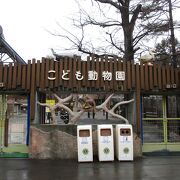 円山動物園 こども動物園