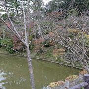 津駅近くの公園