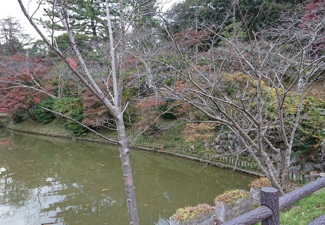 津駅近くの公園