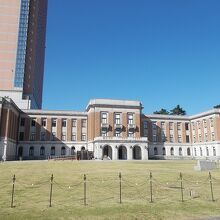 全体の姿です。