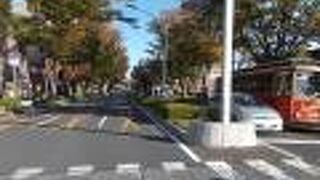 前橋駅北口から北に延びる並木道です。