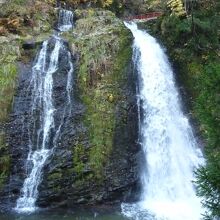 落差２０ｍ、太い・細いの2本ある。迫力十分。