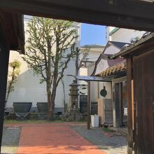 門外より撮りました。