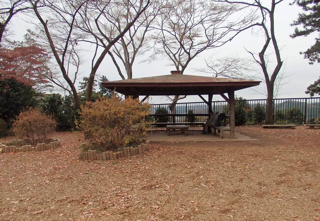 能仁寺から天覧山に登ぼりました