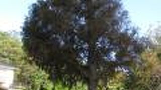 街角の公園にあります。