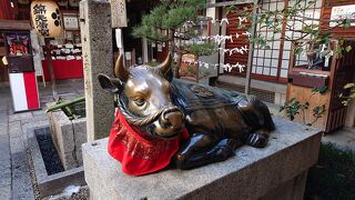 見て歩くだけでも楽しい