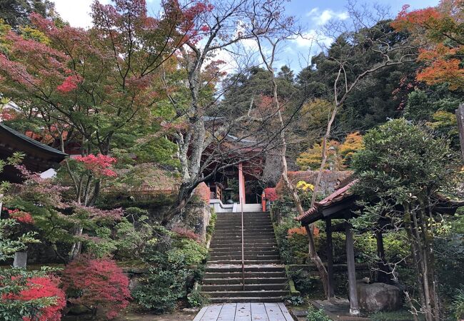 薬王院温泉寺 クチコミ アクセス 営業時間 山代温泉 フォートラベル 薬王院温泉寺 クチコミ アクセス 営業時間 山代温泉 フォートラベル